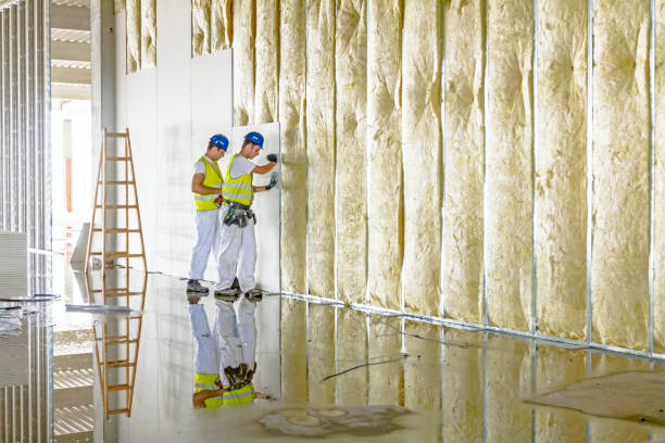 Best Spray Foam Insulation in Glen Rose, TX